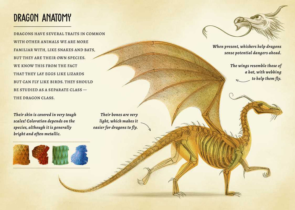 My Little Box of Dragons by
