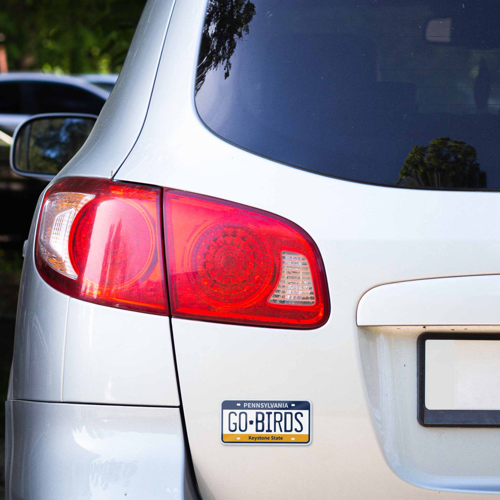 Go Birds Philadelphia PA Flexible Philly Car Magnet