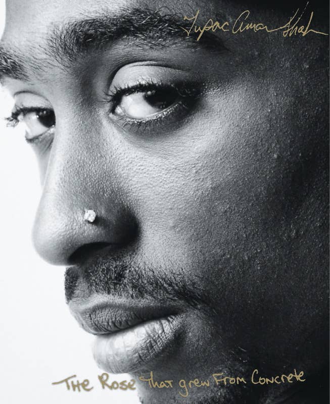 Rose That Grew From Concrete by Tupac   Shakur