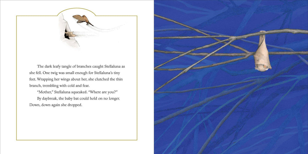 Stellaluna 25th Anniversary Edition: Janell Cannon