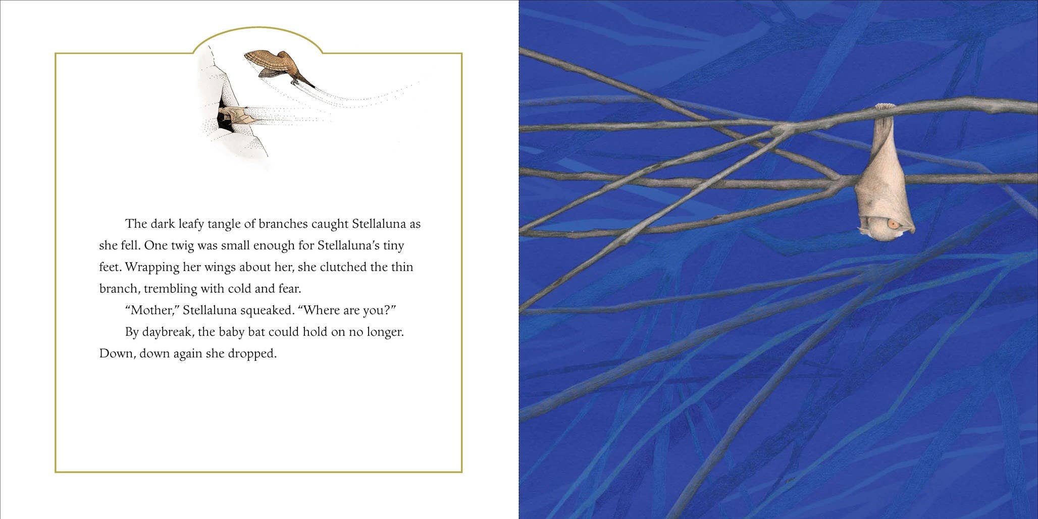 Stellaluna 25th Anniversary Edition: Janell Cannon