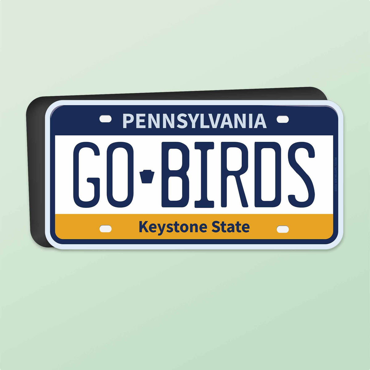 Go Birds Philadelphia PA Flexible Philly Car Magnet