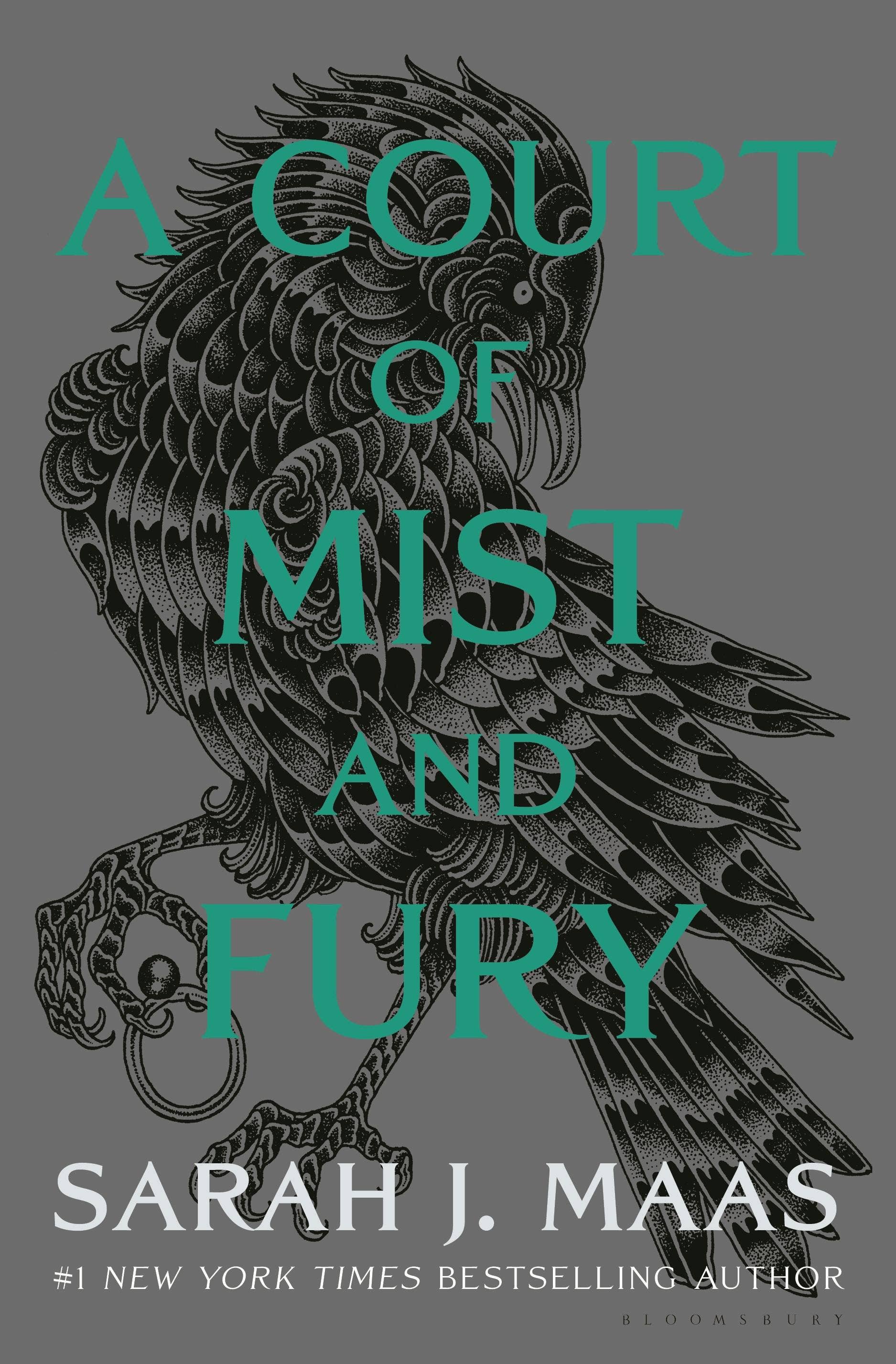 Court Of Mist And Fury Adult