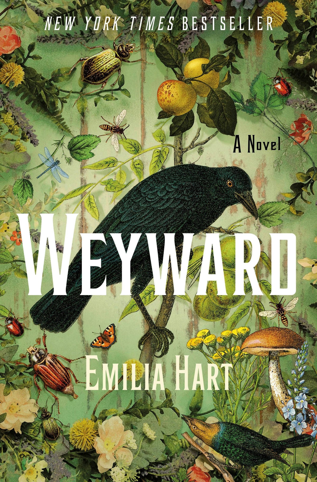 Weyward: A Novel Hardback
