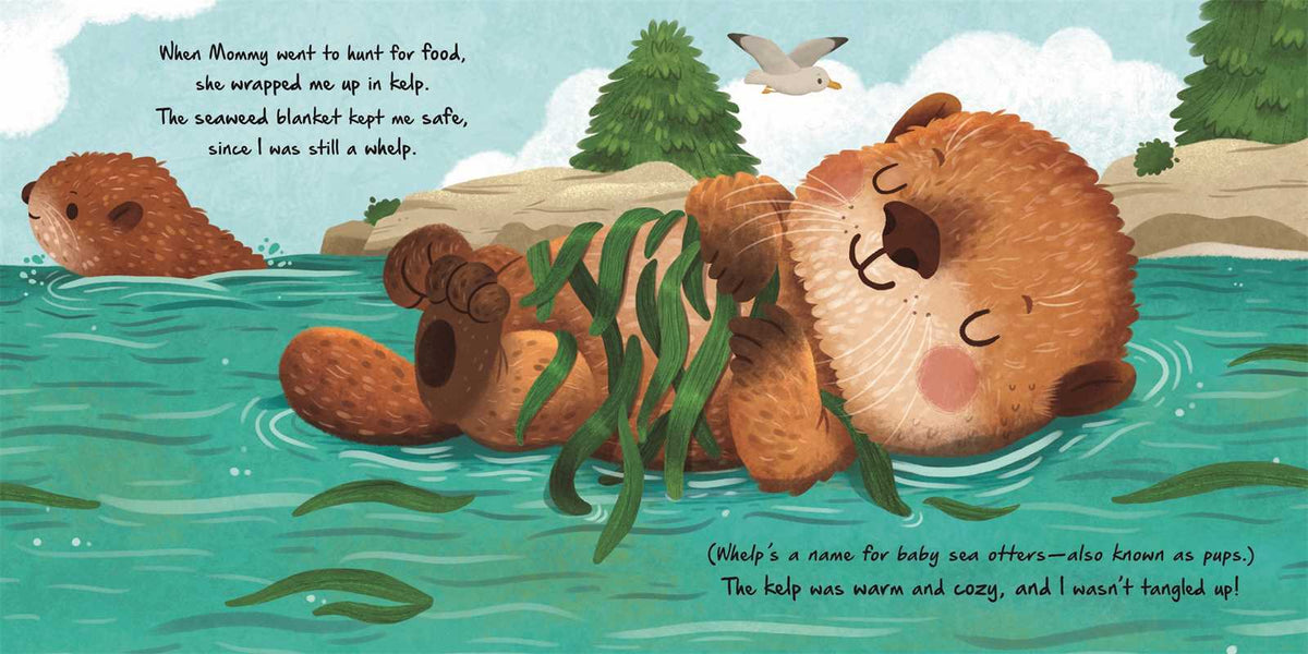 Nature Stories: Little Otter-Discover an Amazing Story from the Natural World by IglooBooks