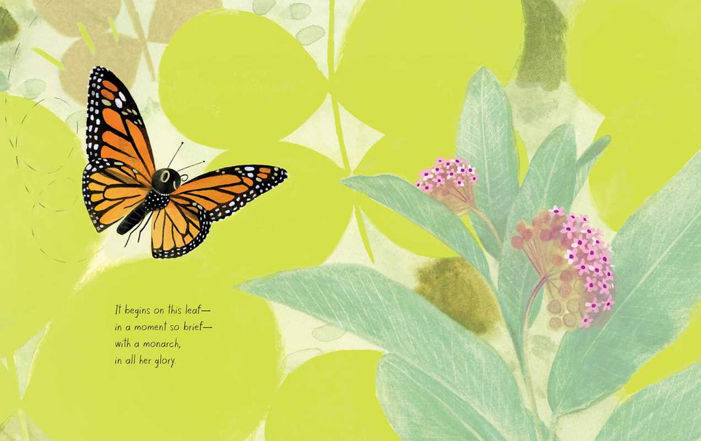 Monarch by Kirsten Hall