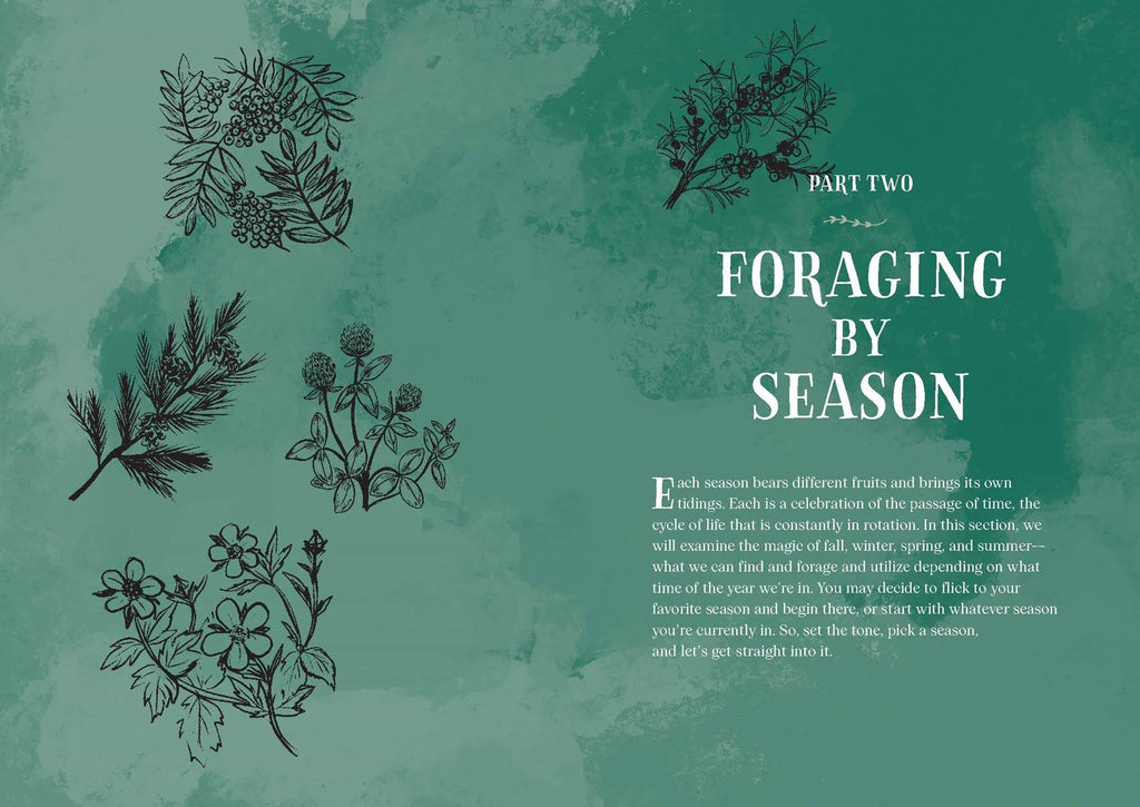 Enchanted Foraging